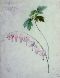 花片